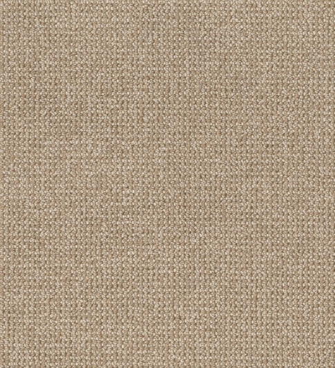 Anderson Tuftex Purrfection Great Plains Area Rug Swatch
