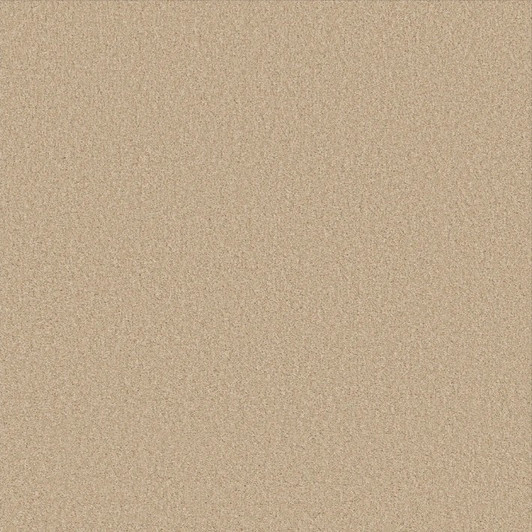 Shaw Classics Las Cruces 5E820 Broadloom Residential Carpet