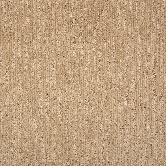 Stanton Pet Guard Britannia Residential Carpet