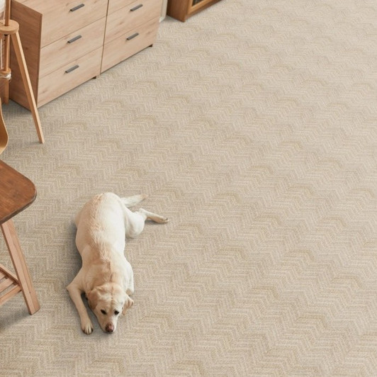 Stanton Atelier Camelot Morgan Residential Carpet Room Scene