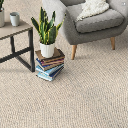Stanton Antrim Arrieta Wool Blend Residential Carpet Room Scene