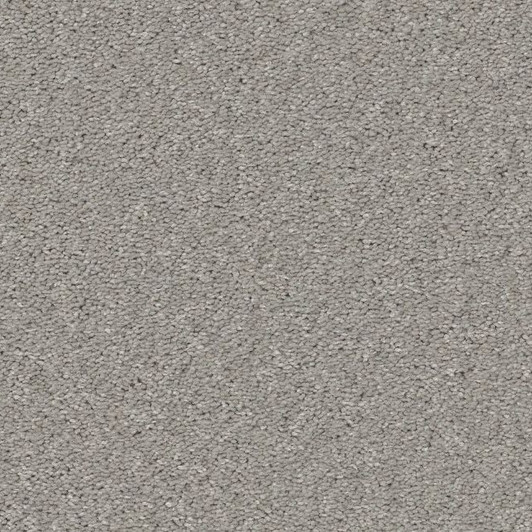 Shaw Simply The Best Well Made 5E667 Residential Carpet 