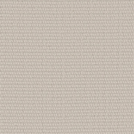 Shaw Pet Perfect+ Cozy Embrace Residential Carpet