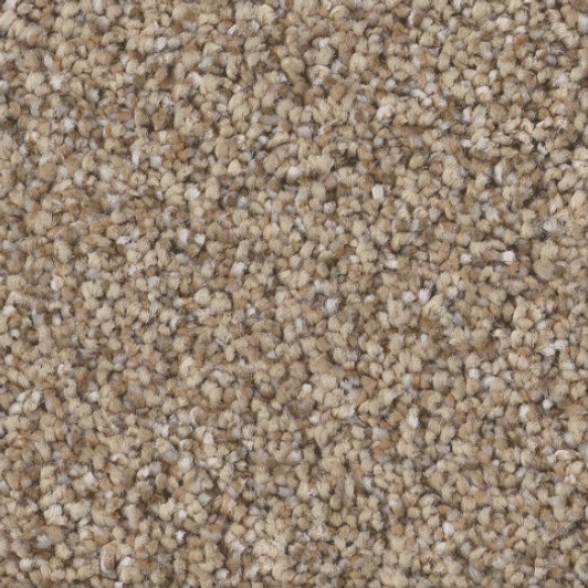 Shaw Simply the Best Elevated II 5E846 Residential Carpet - SUMMER STRAW