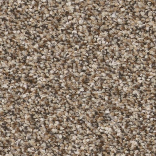 Shaw Simply the Best Elevated III 5E863 Residential Carpet - RODEO
