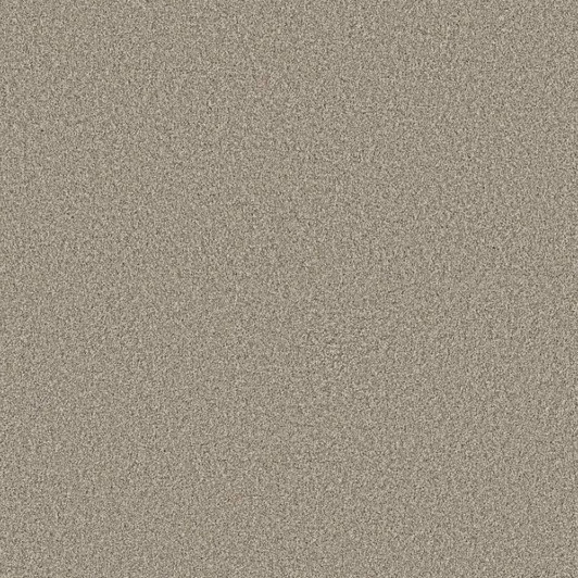 Shaw Anso Colorwall Timeless Tone 5E916 Residential Carpet- Chateau