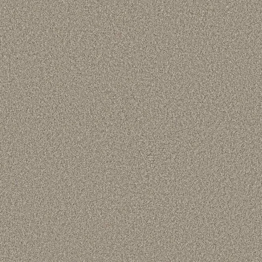 Shaw Anso Colorwall Timeless Tone-Chateau