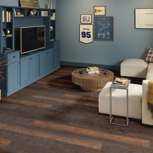 Shaw Floorte Titan HD Plus Platinum Pet Perfect PP080 9" Luxury Vinyl Plank Room Scene