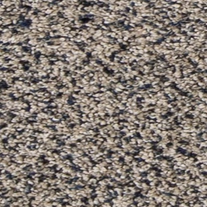 Buy Mohawk PetPremier Canine Comfort Carpet at Georgia Carpet