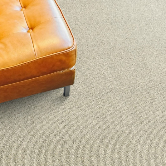 Stanton Hibernia Westley Residential Carpet- Canvas Room Scene