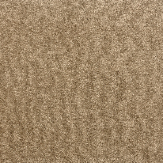 Stanton Pet Guard Trent Residential Carpet-Mushroom