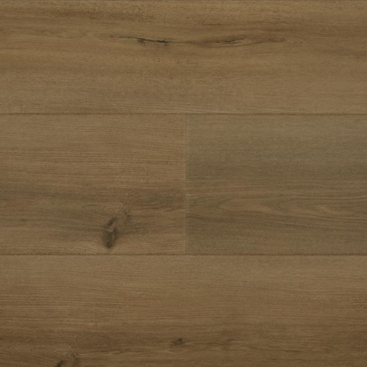 FirmFit Ridgid Core Ultimate-Boundless Bruin