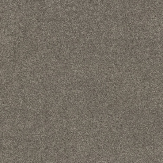 Shaw Pet Perfect Plus Vivid Touch I 5E873 Residential Carpet - HIDEAWAY