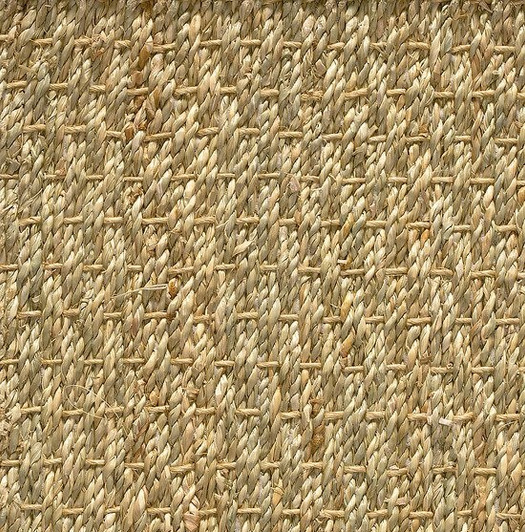 Stanton Sisal Cameroon Natural Fiber Residential Carpet
