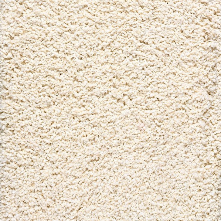 Buy Stanton Shaggy Luxe Carpet at Georgia Carpet for A Great Value