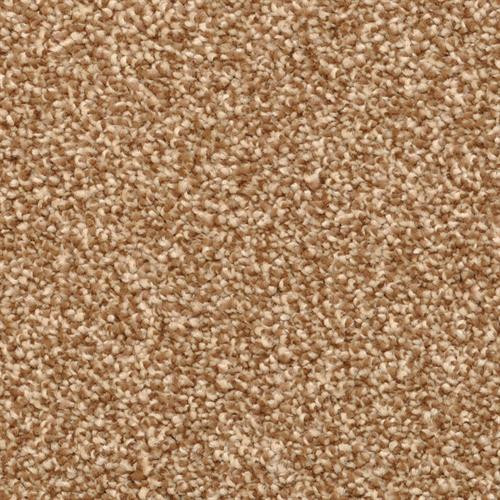 Buy Dixie Home Cozy 5471 at Georgia Carpet for an Affordable Price