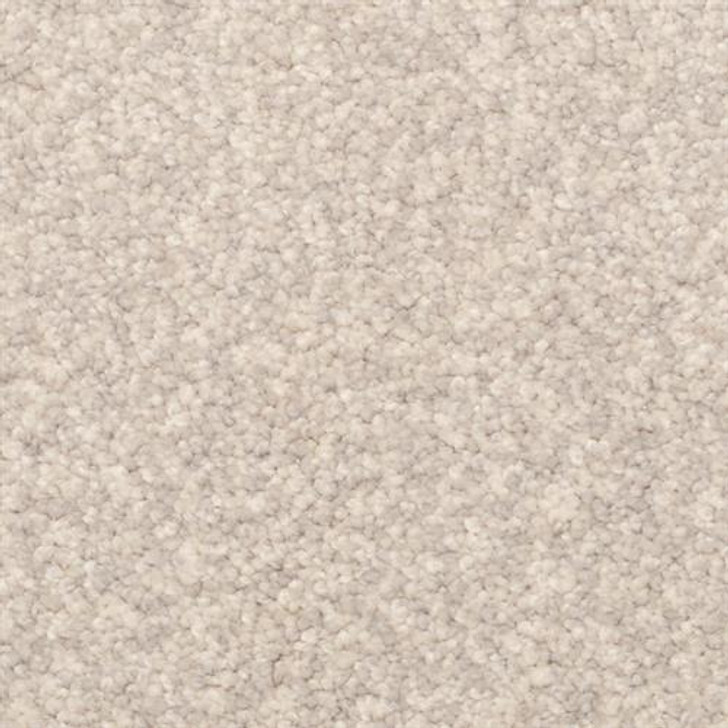 Dixie Home True Comfort 2309 Residential Carpet