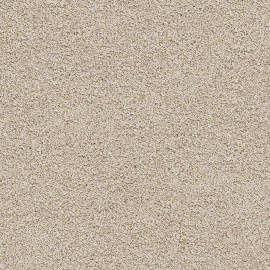 Buy Dixie Home Labrador at Georgia Carpet for an Amazing Price.