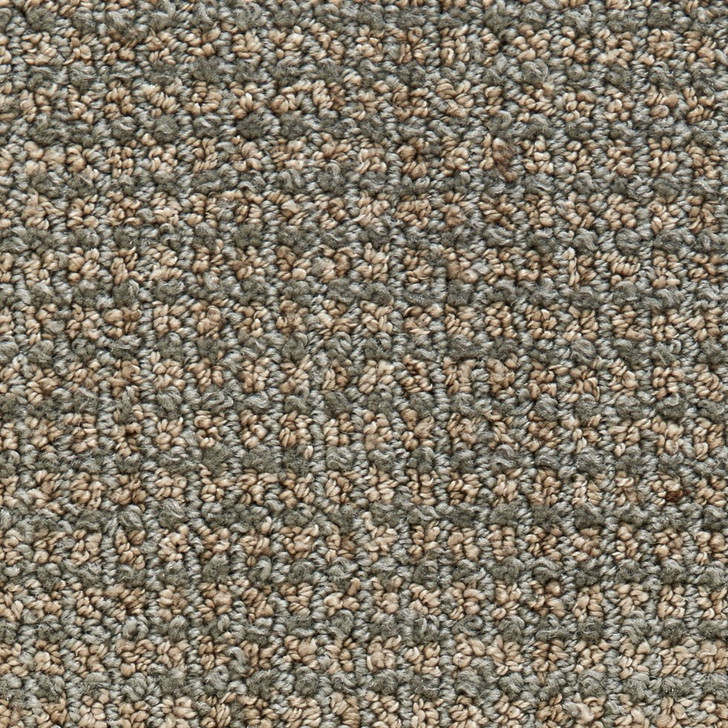 Stanton Atelier Portfolio Frenzy Nylon Fiber Residential Carpet