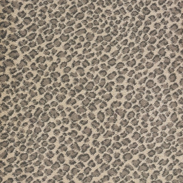 Stanton Lake Collection Lake Safari Polypropylene Fiber Residential Carpet
