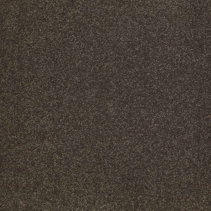 Shaw Sandy Hollow Classic II E0550 12' Residential Carpet