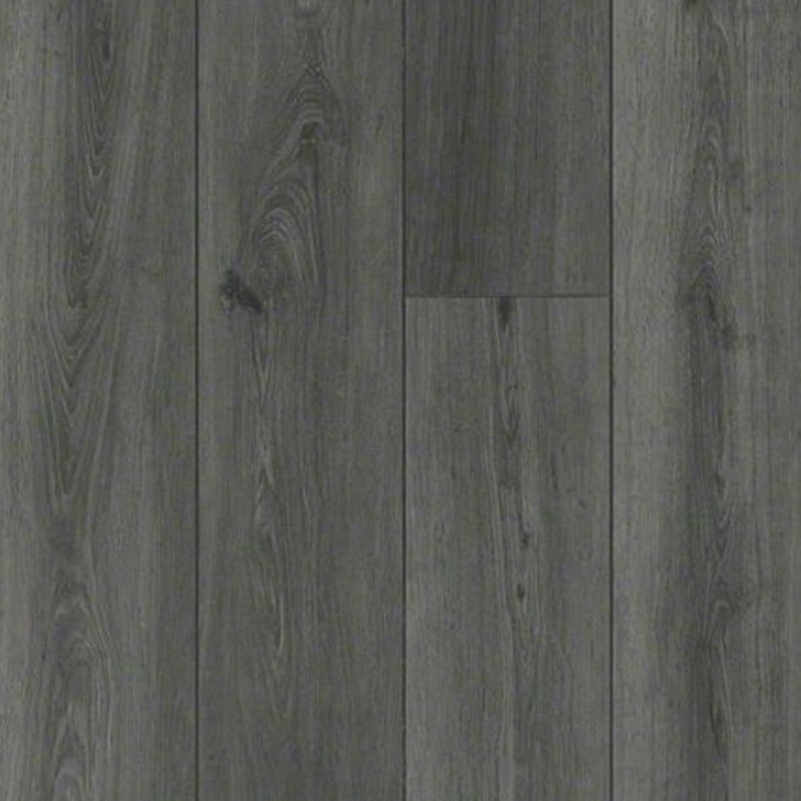 Buy Shaw Floorte Paragon 7