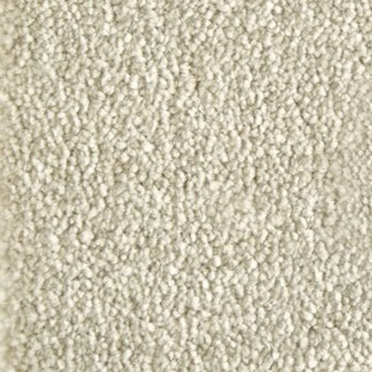 Stanton Atelier Marquee Velveteen Nylon Fiber Residential Carpet