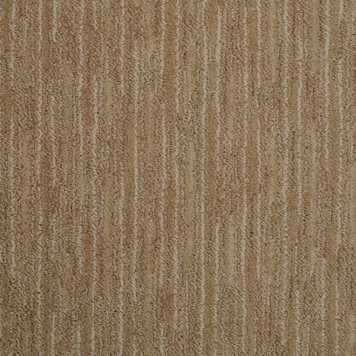 Buy Masland Artistic Vision Residential Carpet at Georgia Carpet