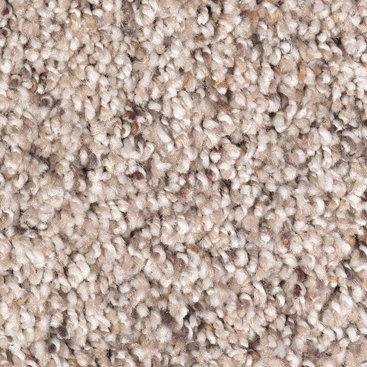  Mohawk Air.O Total Harmony Abby Row 2T55 Residential Carpet