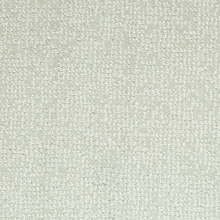 Buy Masland Batavia Wool Residential Carpet at Georgia Carpet