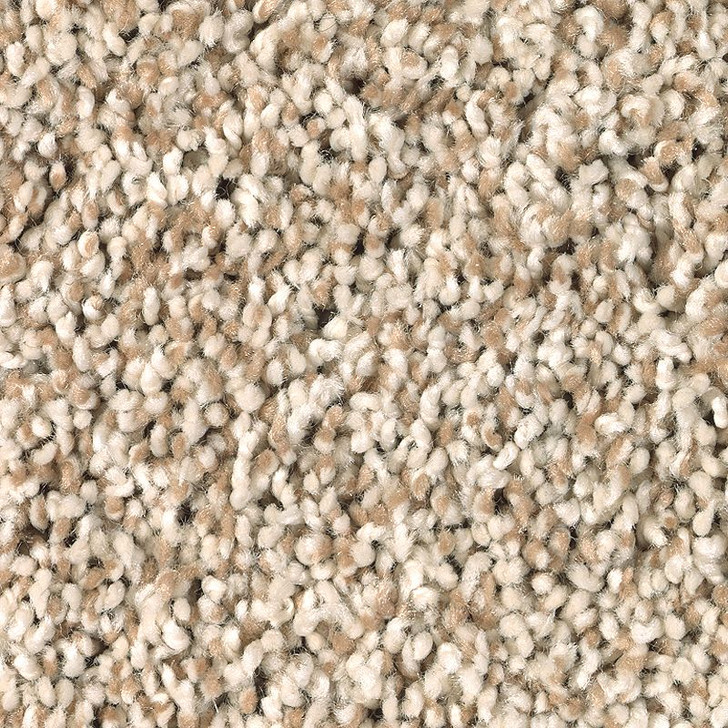 Mohawk Air.O Changing Times II 2T49 Residential Carpet