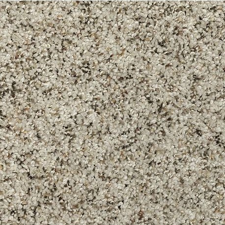 Buy Mohawk Everstrand Soft Appeal Soft Details 3G13 Carpet at