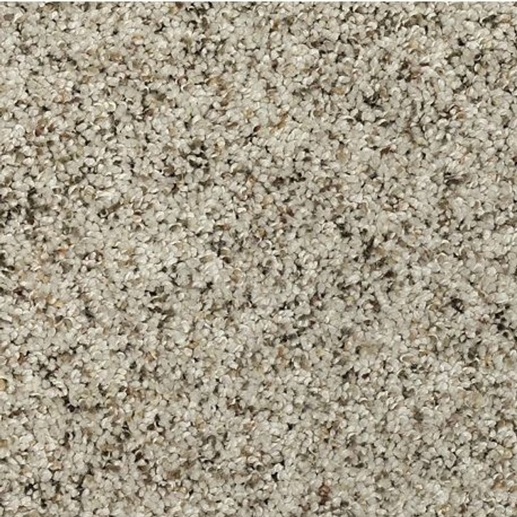 Mohawk Everstrand Soft Appeal Soft Details II 3G13  Residential Carpet