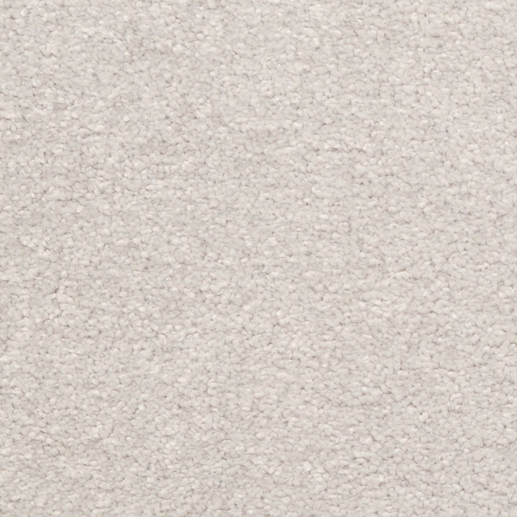 Buy Fabrica La Femme Nylon Carpet at Georgia Carpet