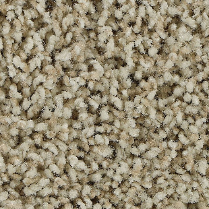 Mohawk Soft Appeal Soft Aspects 3C22 Residential Carpet 