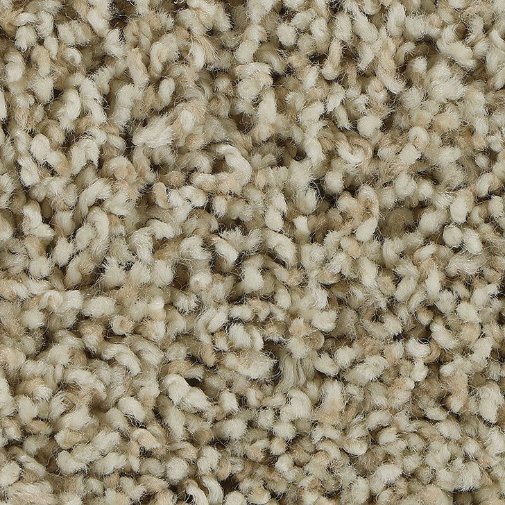 Mohawk Everstrand Soft Appeal Soft Aspects 3C22 Residential Carpet