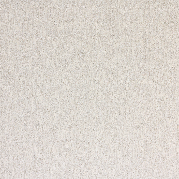 Buy Southwind Fairview Residential Carpet is at Georgia Carpet
