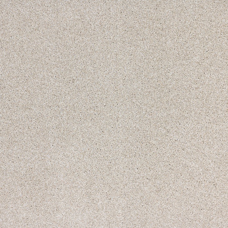 Buy Southwind Medley Residential Carpet is at Georgia Carpet for A