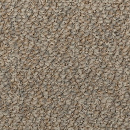 Buy Mohawk Enduring Amazement Residential Carpet for A Great Value