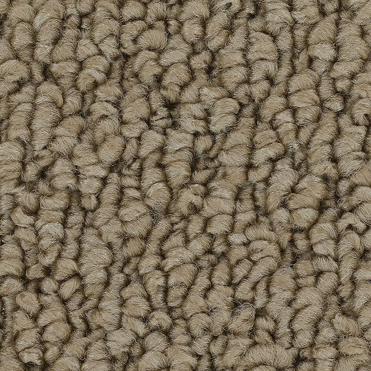 Mohawk Everstrand Cozy Classic 3C46 Residential Carpet