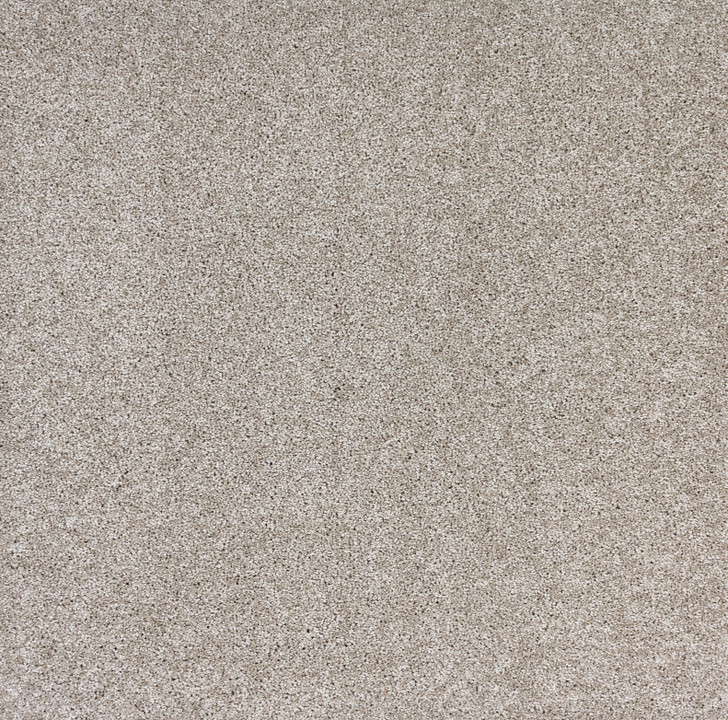 Buy Southwind Stellar A118 Residential Carpet at Georgia Carpet