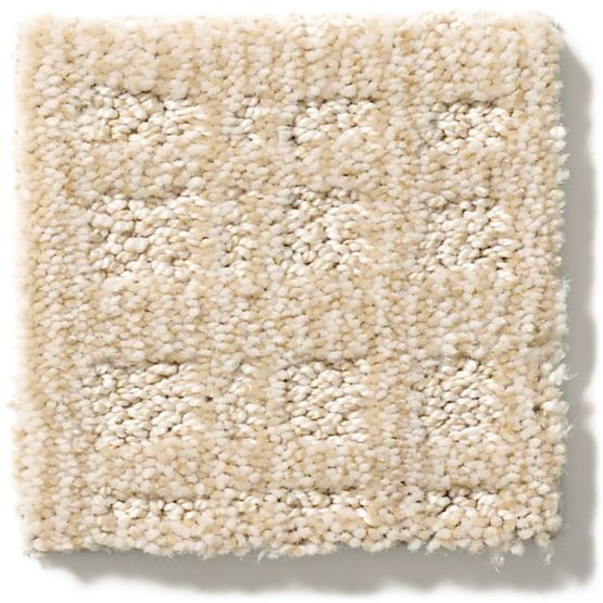 Buy Anderson Tuftex Nylon Residential Carpet at Carpet for a
