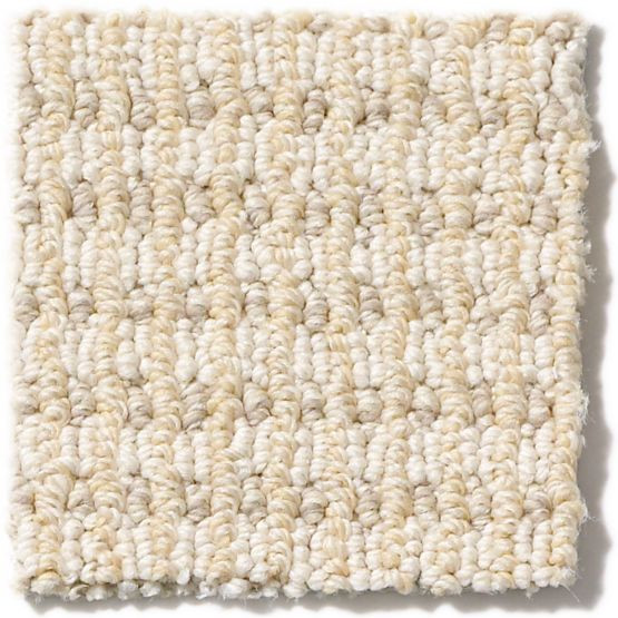 Anderson Tuftex Abbey's Road ZZ013 Residential Carpet