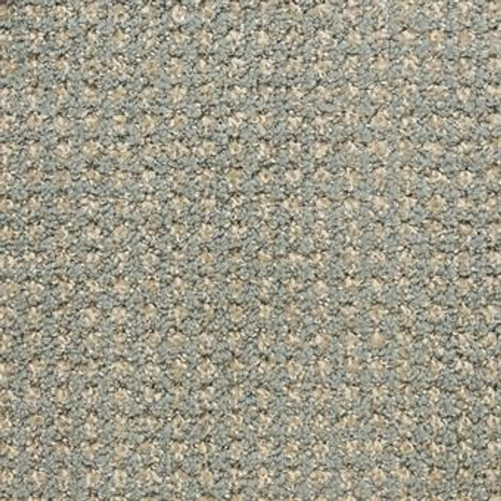 Masland Alpha 9599 Residential Carpet