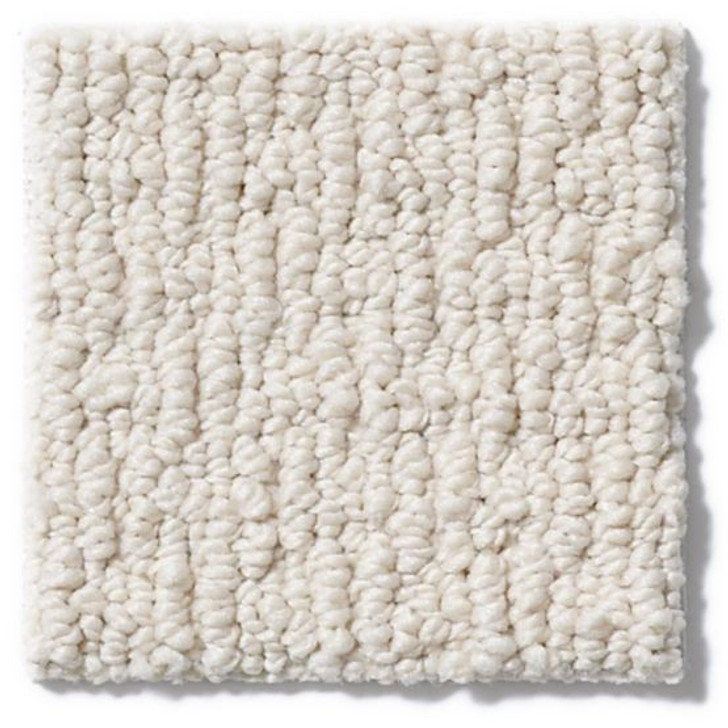 Anderson Tuftex Casual Mood Z6820 Residential Carpet
