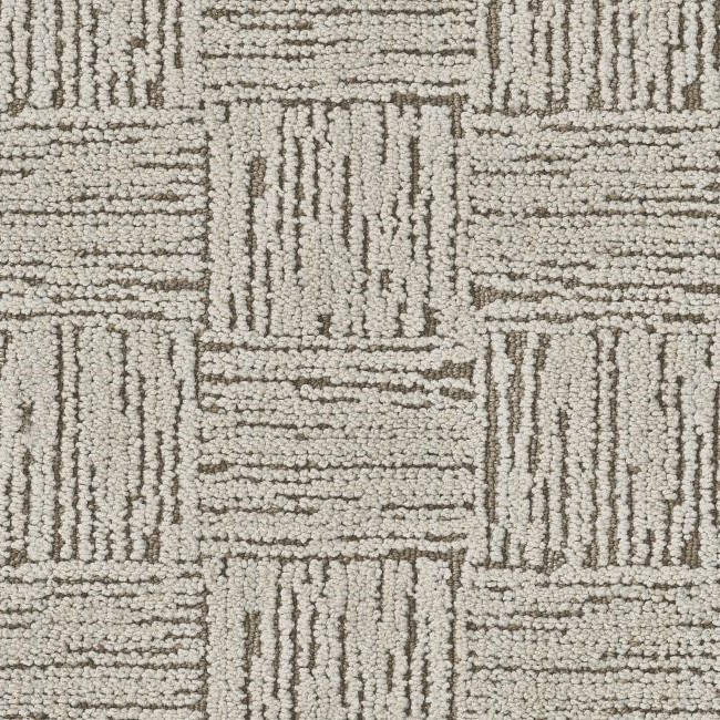 Anderson Tuftex Moderne ZZ303 Residential Carpet