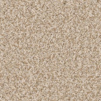 Anderson Tuftex Avalon Bay ZZ278 Residential Carpet