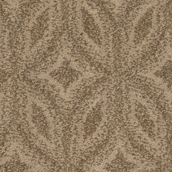 Anderson Tuftex Enlightened ZZ274 Residential Carpet