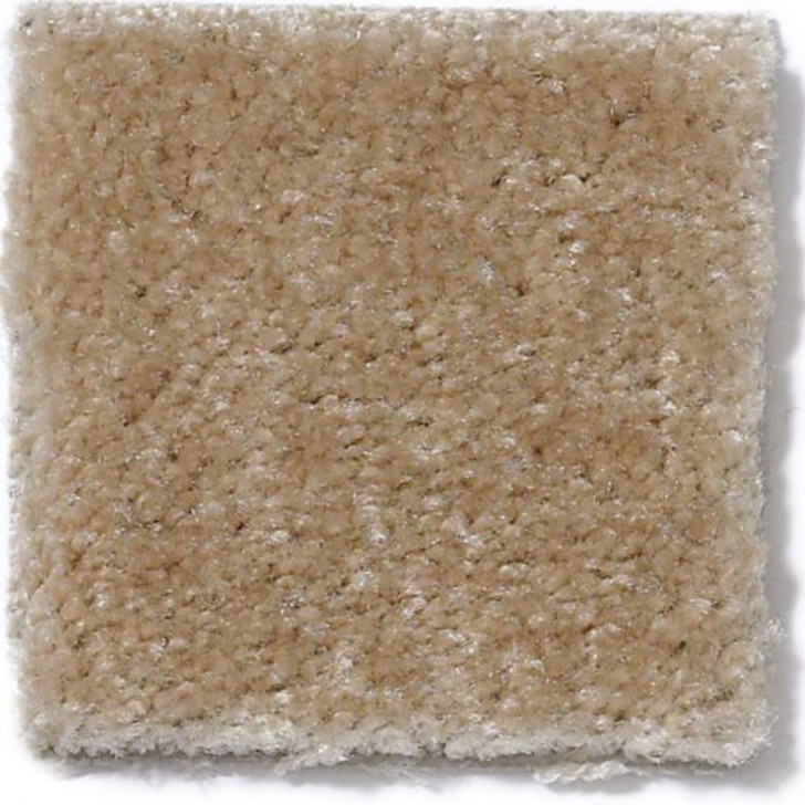 Anderson Tuftex Cabretta II Z6906 Residential Carpet