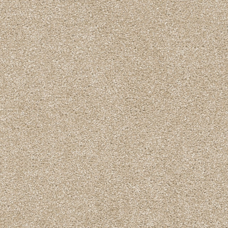 Dreamweaver Brazen II 6260 Residential Carpet